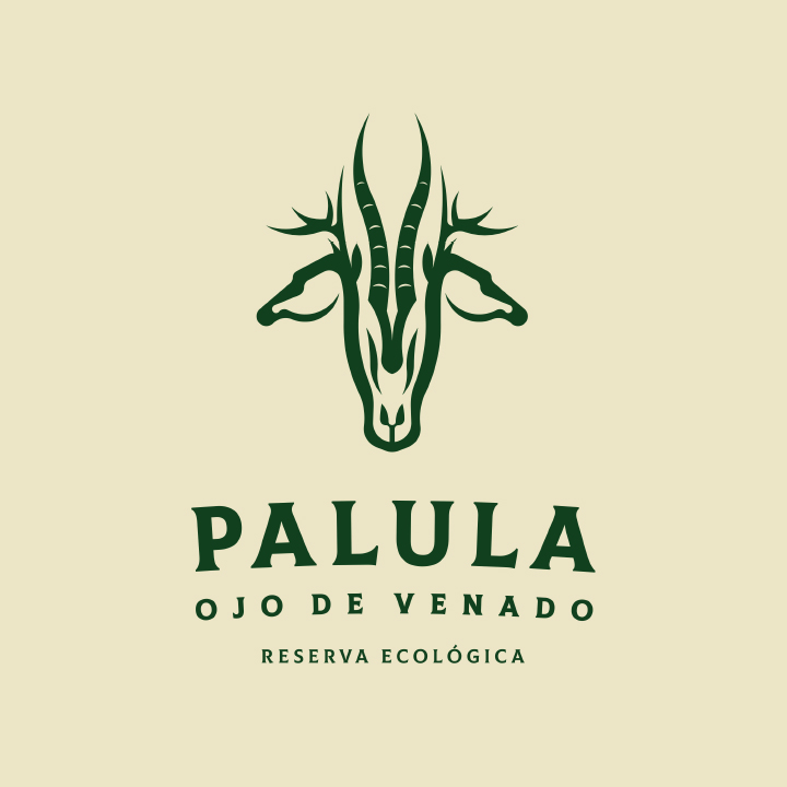 Palula
